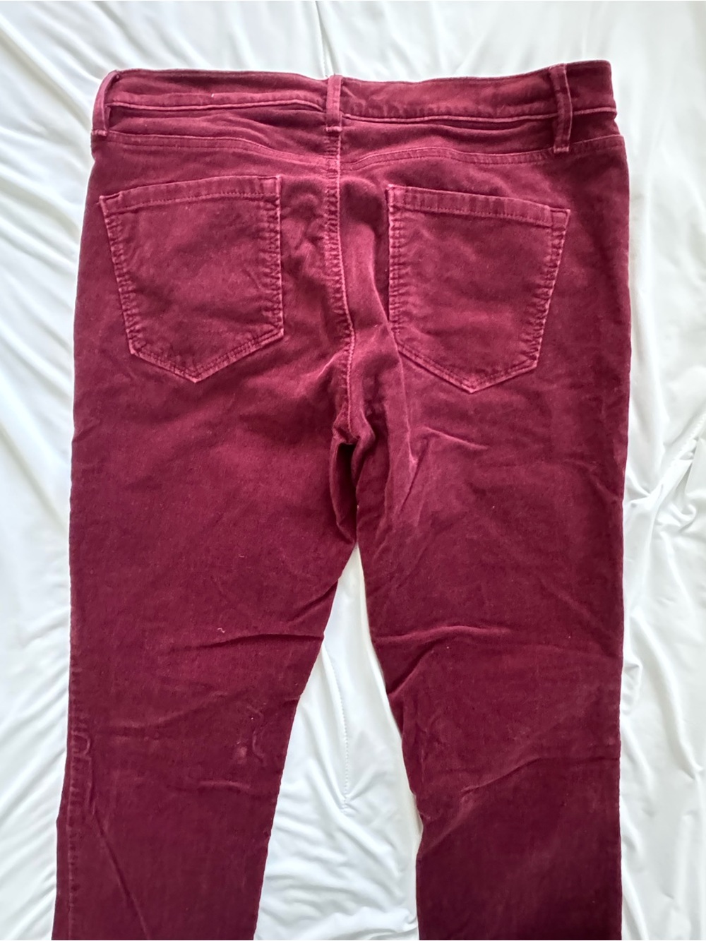 LOFT Wine Skinny Corduroy Pants